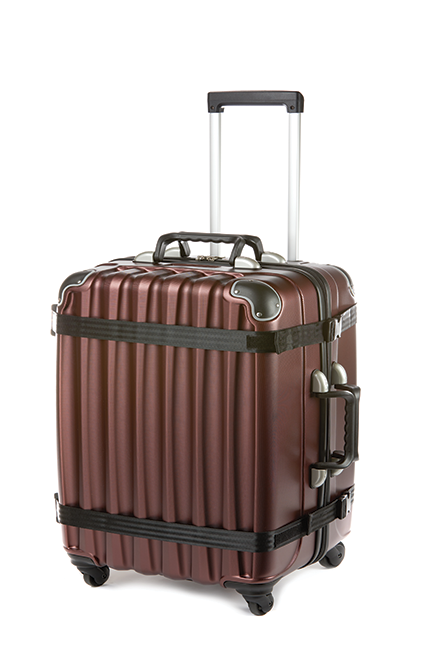 Petite Burgundy 8-Bottle Wine Suitcase