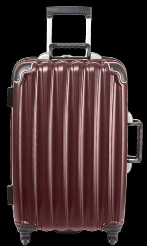 VinGardeValise® Grande 12-Bottle Wine Suitcase