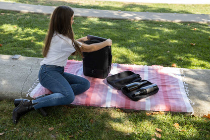 Vin2Go Wine & Class Case